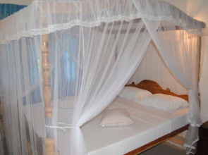 Damith Guest House