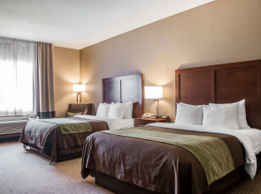 Comfort Inn Edinburg