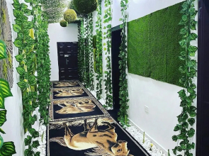 6129 Luxzri Apartment