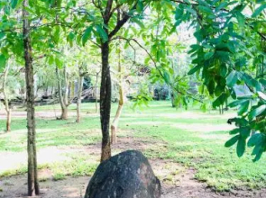 Twin Blocks Nature Resort