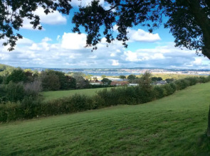 Warren View