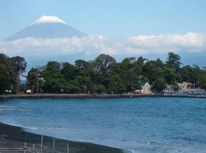 Osekan