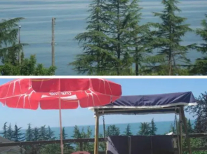Guest House on Tamar Mephe 14