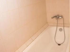 Deribasovskaya Shanti