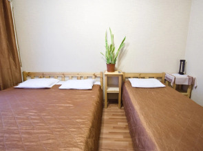 Лебедушка на Кузнечном