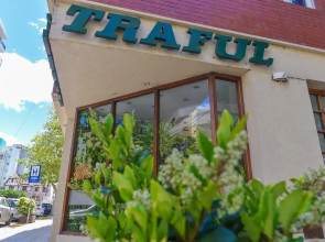 Hotel Traful