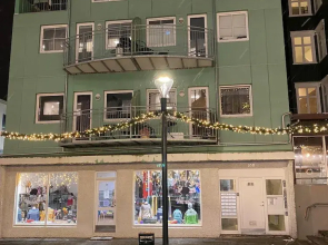 Hafnarstræti 100, Downtown Apartment