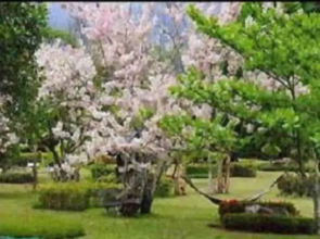 Muang Pai Resort