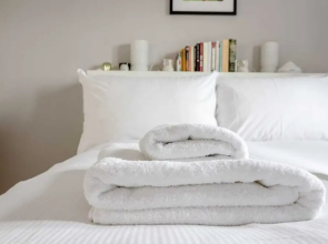 Chic and Cosy 1 Bed Flat in Nw-london