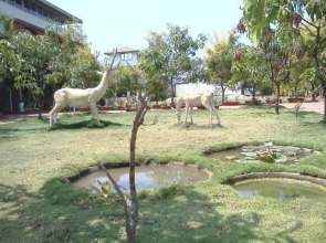 Govinda Resorts