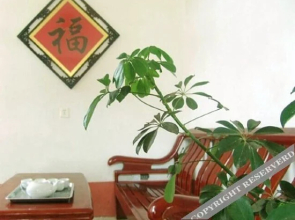 Xinhai Yujia(鑫海渔家民宿（日照海滨国家森林公园店）)