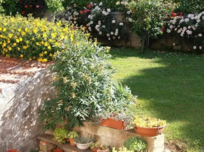 B&B Faleri