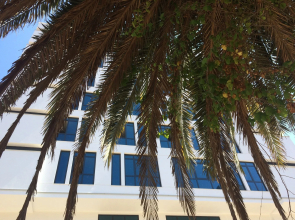 Aselia Hotel Trabzon