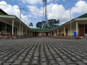 Homocation Bagori Kaziranga