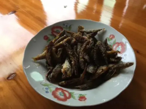 Leishan Miaogewang Farm Homestay
