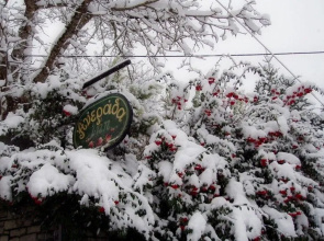 Anerada Inn Boutique Hotel