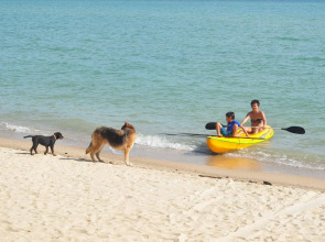 Phangan Rainbow Bungalows