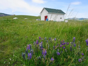 My Mongolia Eco Ger Camp