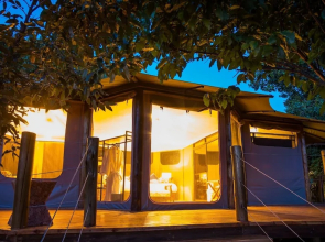 Mara Treetops Luxury Camp
