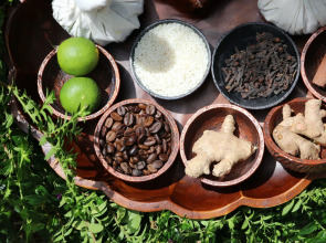 Munduk Moding Plantation Nature Resort