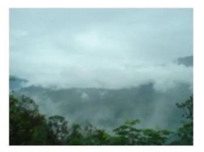Mountain Facing Rooms in Shimla