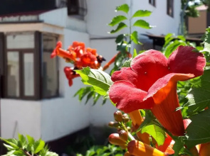 World Travelers Hostel