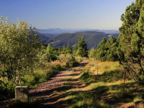 Wellness- & Nationalpark Hotel Schliffkopf BWSC