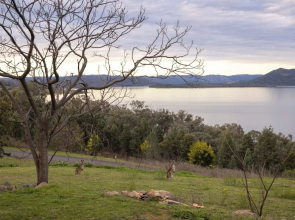 Reflections Lake Burrendong - Holiday Park