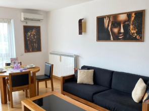 Sunny two room apartment, Baneasa, Petrom City.