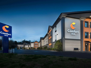 Comfort Inn Asheville East-Blue Ridge Pkwy Access