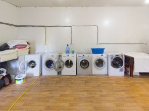 Отель «Оазис в лесу»