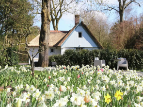 Romantic holiday home in Bergen North Holland with terrace