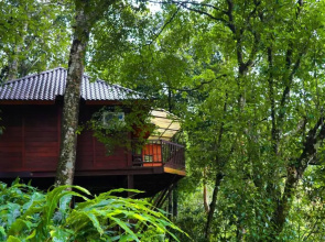 Indriya Resorts & Spa