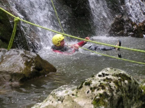 Familienappartement Ötscherbär