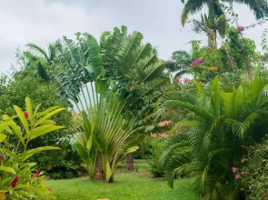 Royal Palm Holiday Apartment