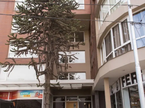 Civico Apartments
