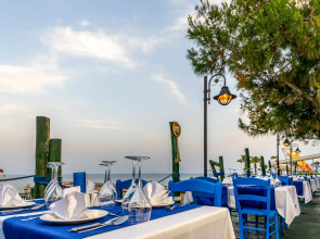 Gypsophila Club Marine