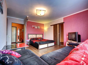 U Ledovogo Dvortsa Apartments