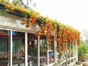 Tian Xiu Mountain Village