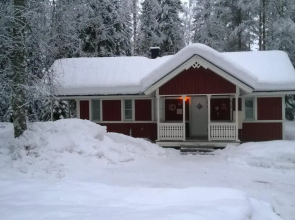 Scandinavian chalet