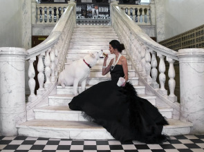 Chicago Athletic Association, a Hyatt Hotel