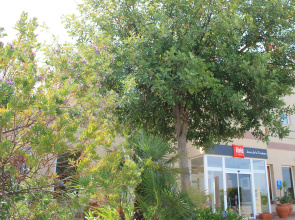 ibis Jerez de La Frontera
