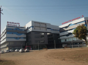 OYO 11068 Hotel Royal Palace