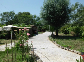 Toms House 0 Quiet Family House Between Paleokastritsa n Dassia n Ipsos!
