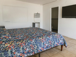 Antigua Motel by OYO Tampa US - 41