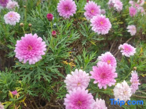 Yunqi Courtyard Hot Spring Inn