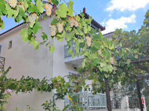 Pansion Prodromina