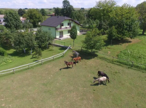 Green apartment Plitvice