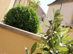Appartement Le Saint-Etienne avec Terrasse
