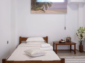 Luxurious Villa David